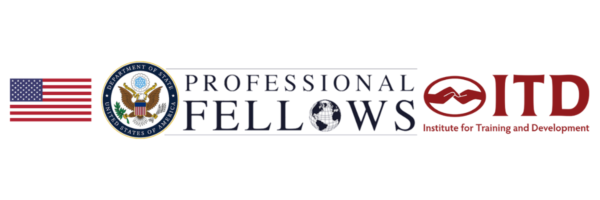 US Department of State, Professional Fellows, ITD, Invincible Spaces